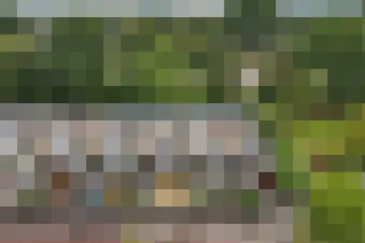 Baai 64 Lelystad thumbnail 6