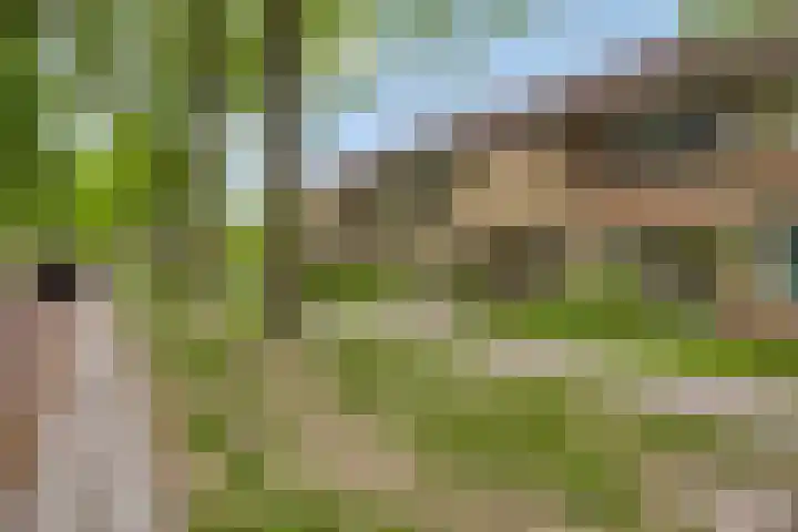Baai 86 Etten-Leur thumbnail 6