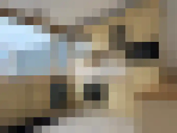 Baai 86 Lelystad thumbnail 6