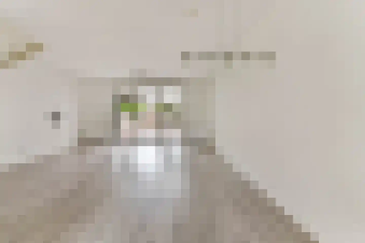 Baak van Brielle 17 Amersfoort thumbnail 4