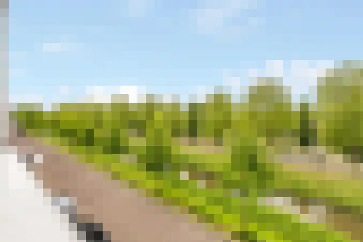 Baak van Brouwershaven 7 Amersfoort thumbnail 35
