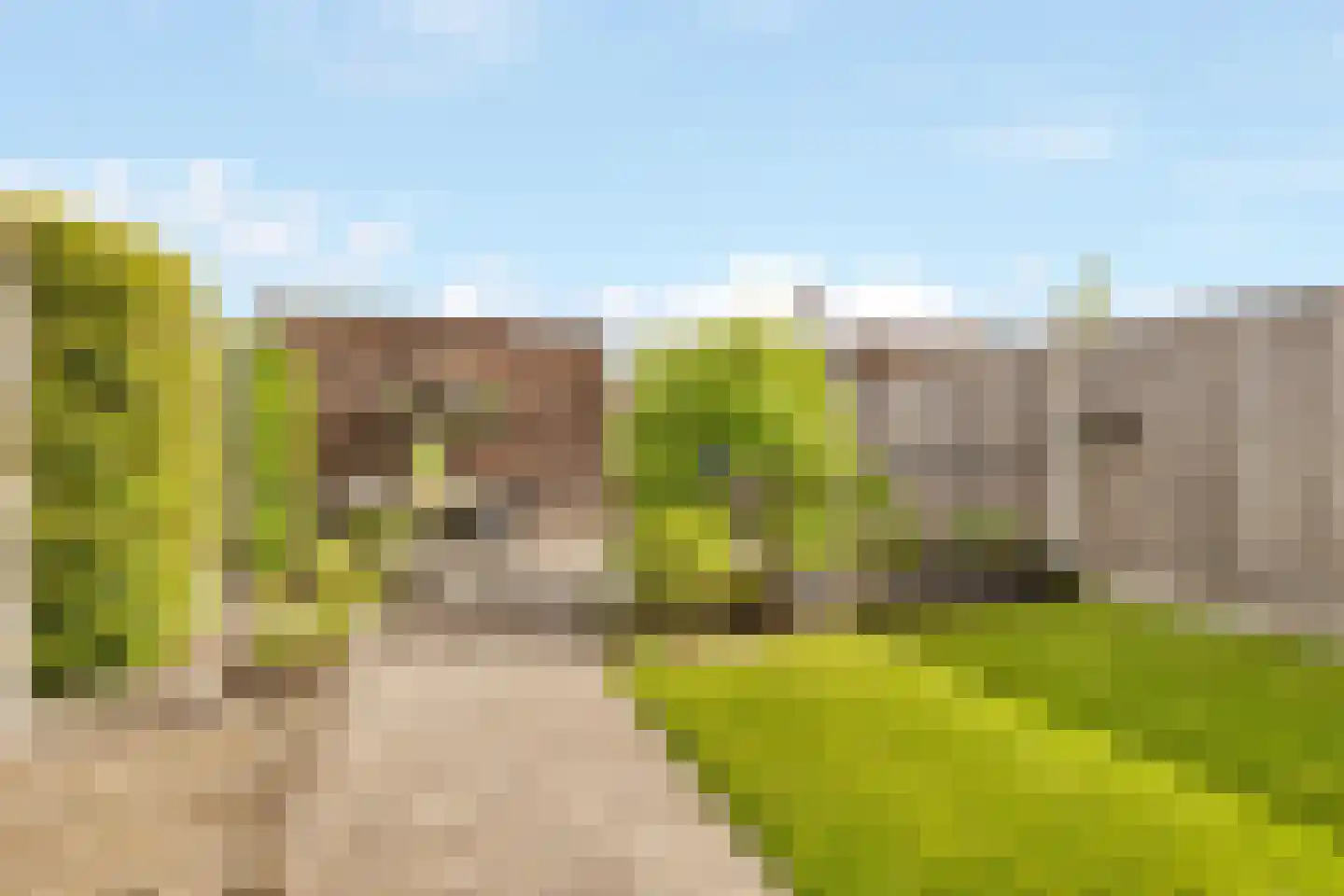 Baak van Brouwershaven 7 Amersfoort thumbnail 39