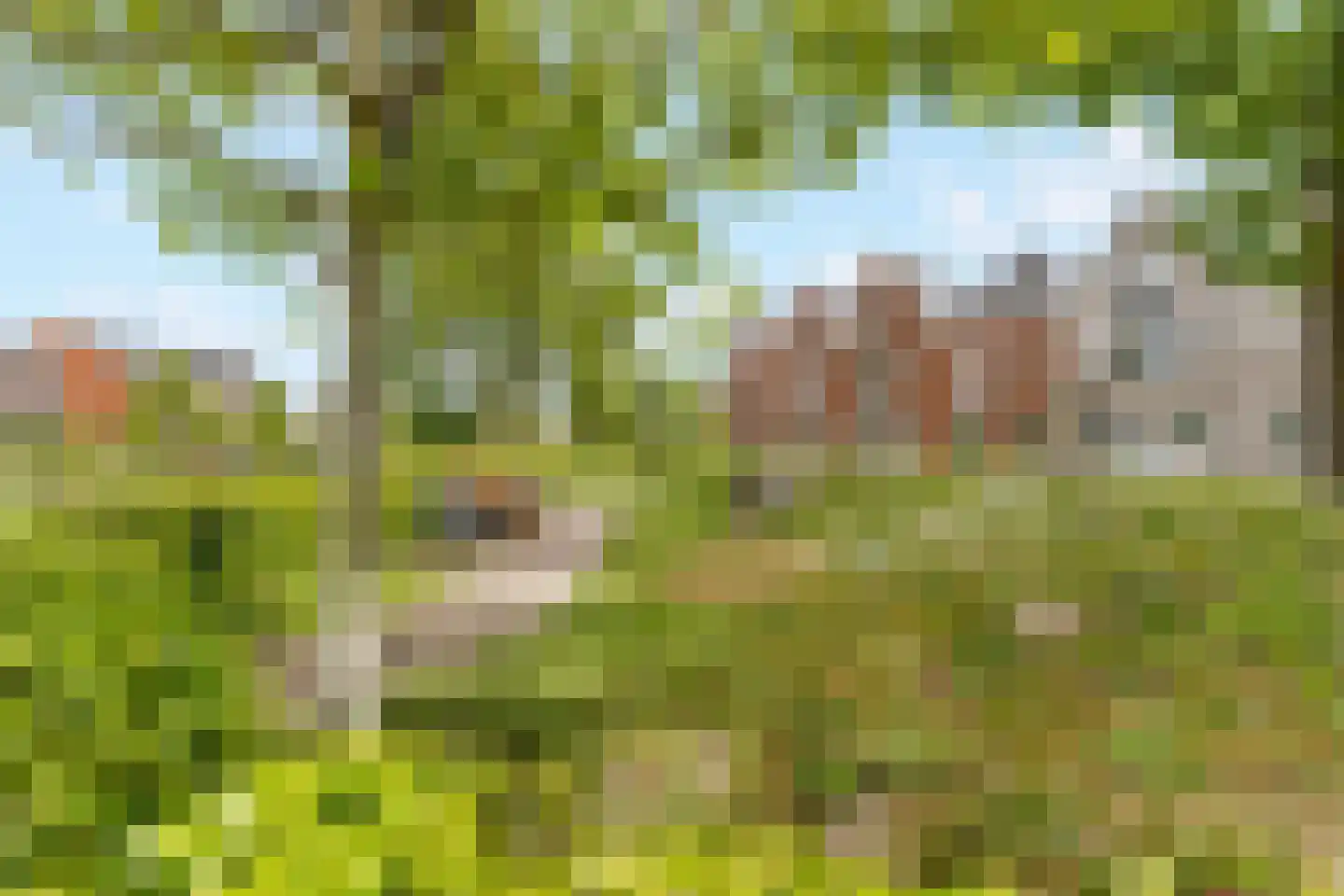 Baak van Brouwershaven 7 Amersfoort thumbnail 45