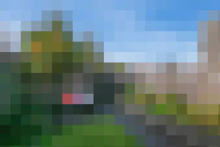 Baak van Camperduin 46 Amersfoort thumbnail 36