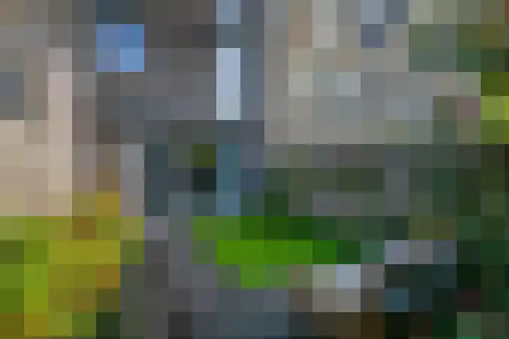 Baak van Camperduin 46 Amersfoort thumbnail 38