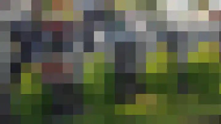 Baak van Camperduin 46 Amersfoort thumbnail 41