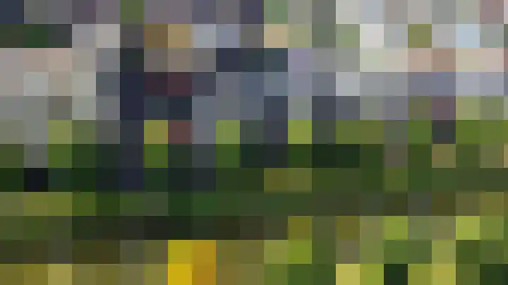 Baak van Camperduin 46 Amersfoort thumbnail 42