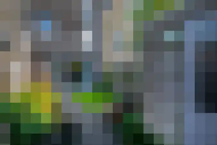 Baak van Camperduin 46 Amersfoort thumbnail 7