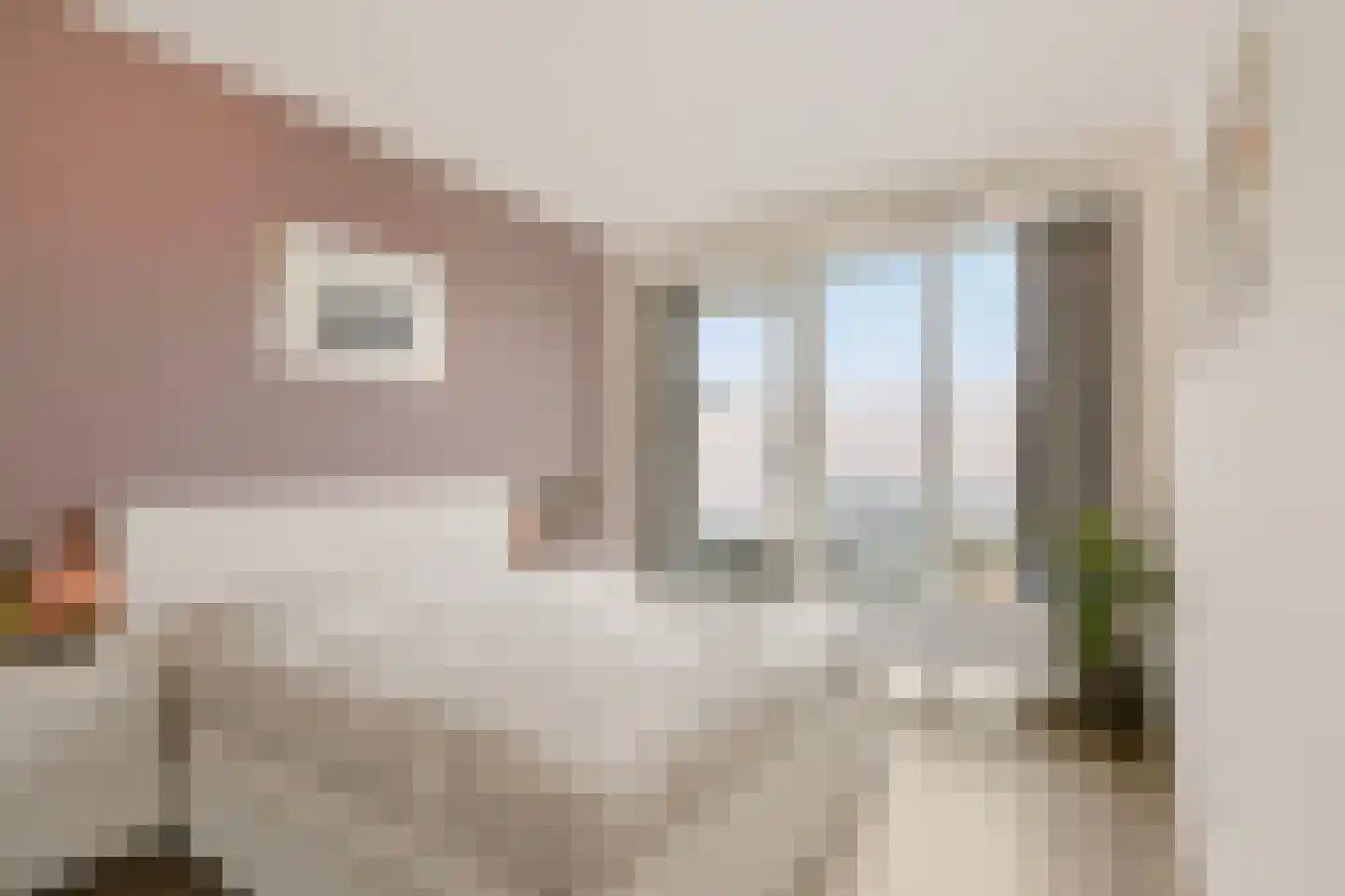 Baak van Camperduin 96 Amersfoort thumbnail 19