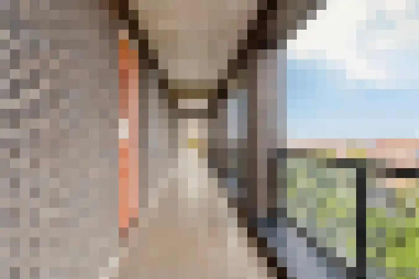Baak van Camperduin 96 Amersfoort thumbnail 9