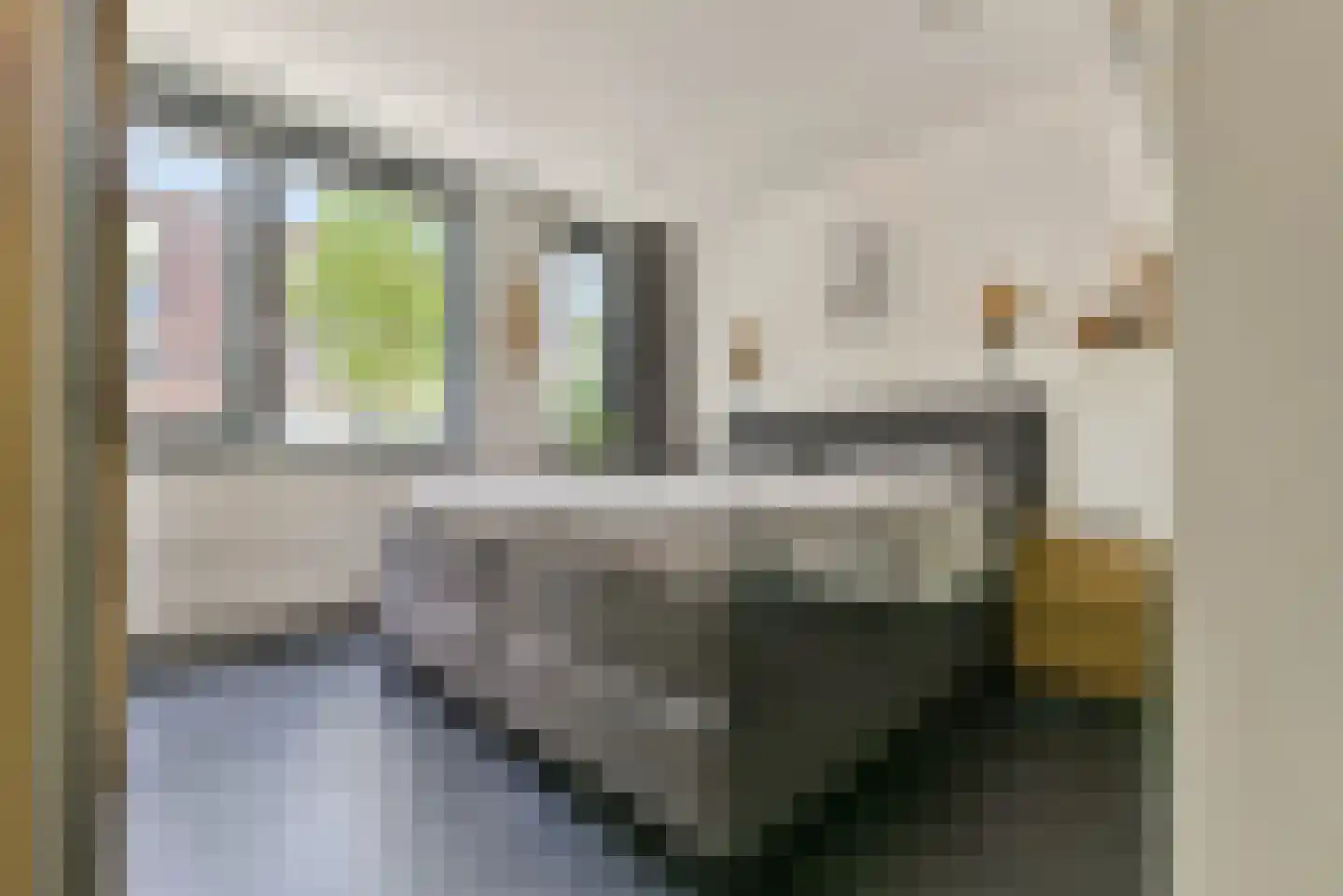 Baak van Domburg 14 Amersfoort thumbnail 18