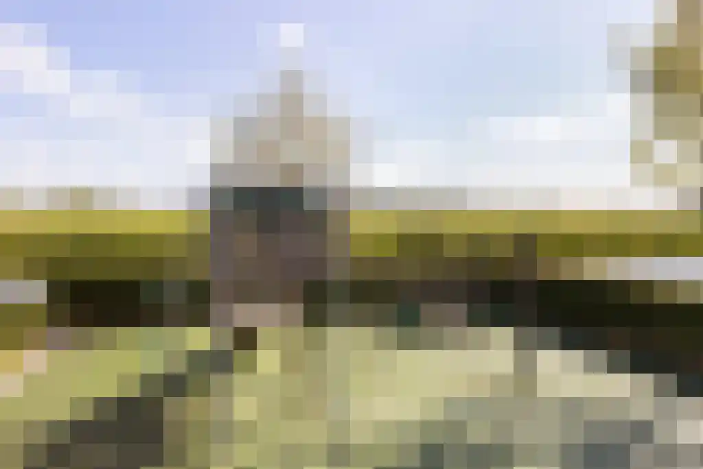 Baak van Domburg 14 Amersfoort thumbnail 26