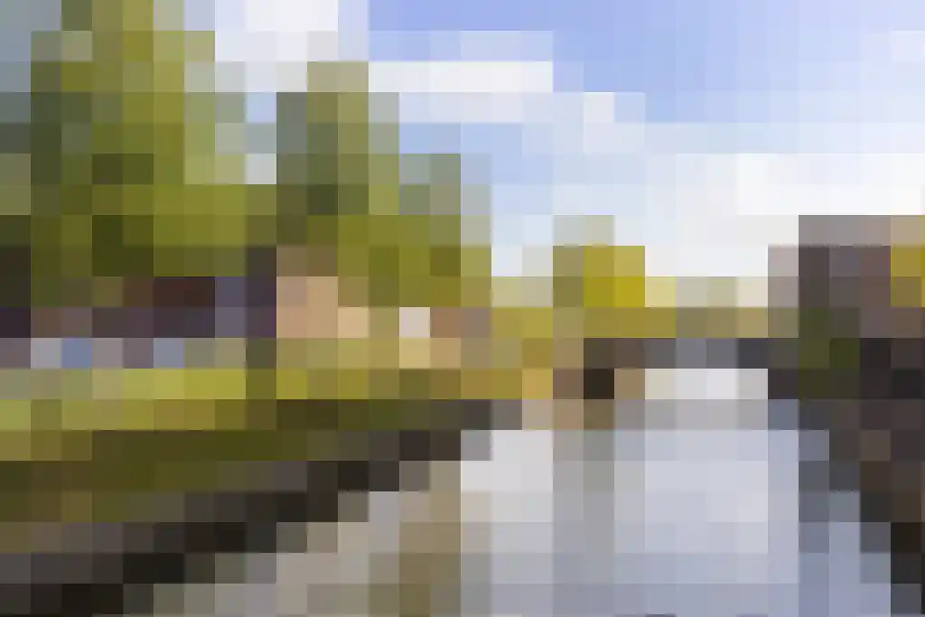 Baak van Domburg 14 Amersfoort thumbnail 8