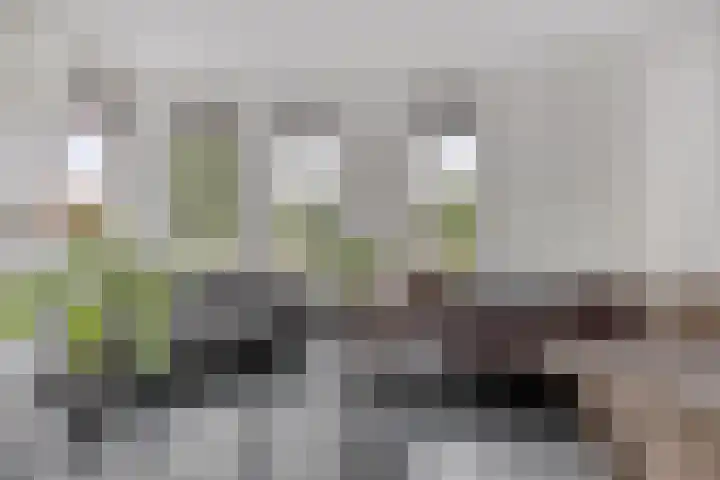 Baak van Domburg 32 Amersfoort thumbnail 14