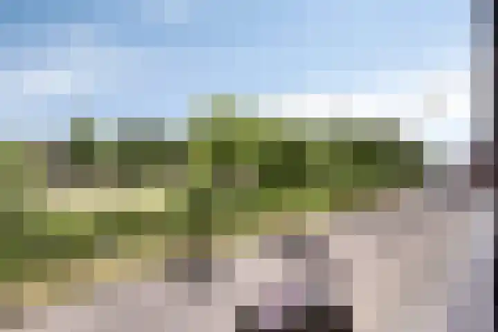 Baak van Domburg 32 Amersfoort thumbnail 33
