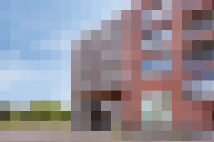 Baak van Domburg 32 Amersfoort thumbnail 4