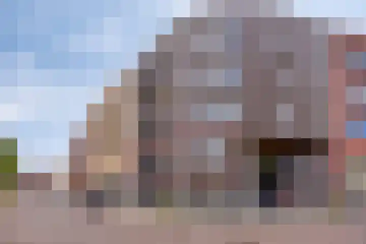 Baak van Domburg 32 Amersfoort thumbnail 40