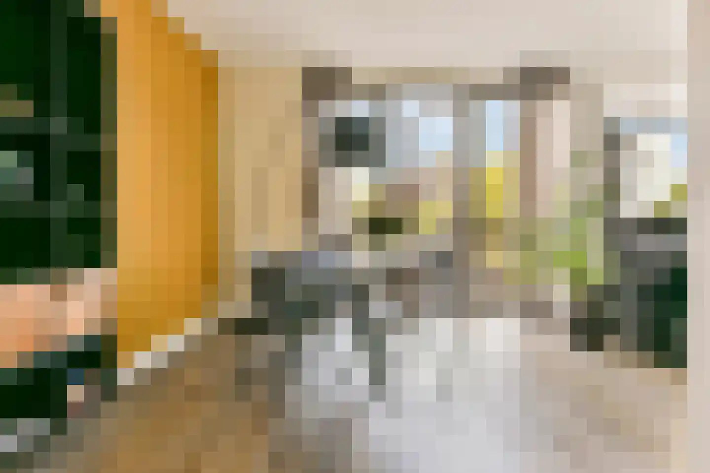 Baak van Hellevoetsluis 15 Amersfoort thumbnail 10