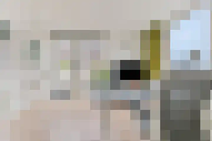 Baak van Hellevoetsluis 3 Amersfoort thumbnail 33