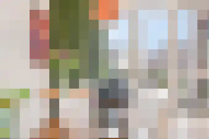 Baak van Hellevoetsluis 3 Amersfoort thumbnail 4