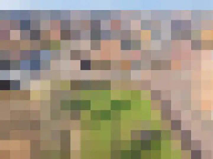 Baak van Hellevoetsluis 3 Amersfoort thumbnail 8