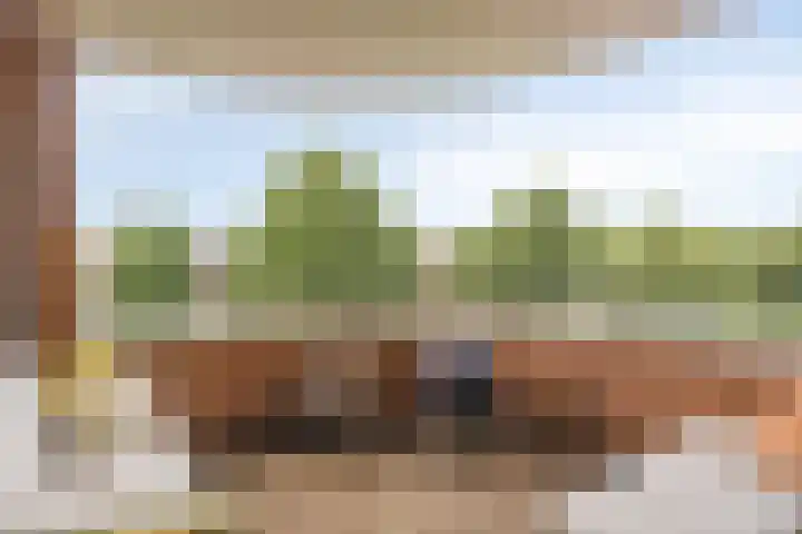 Baak van Herkingen 106 Amersfoort thumbnail 17
