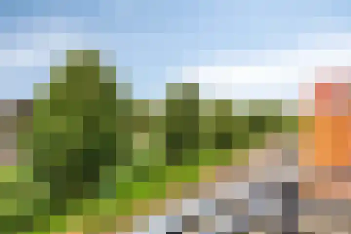 Baak van Herkingen 106 Amersfoort thumbnail 18