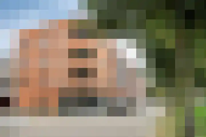 Baak van Herkingen 106 Amersfoort thumbnail 30