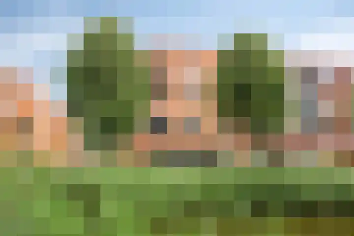Baak van Herkingen 106 Amersfoort thumbnail 31
