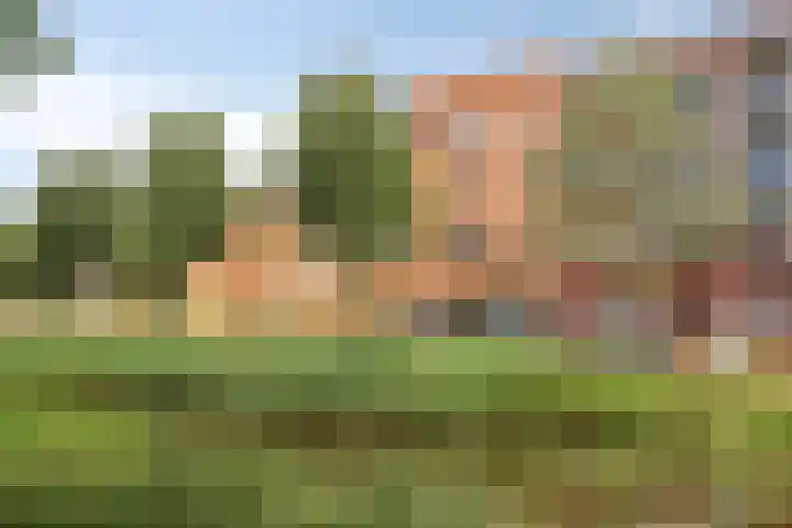 Baak van Herkingen 106 Amersfoort thumbnail 32