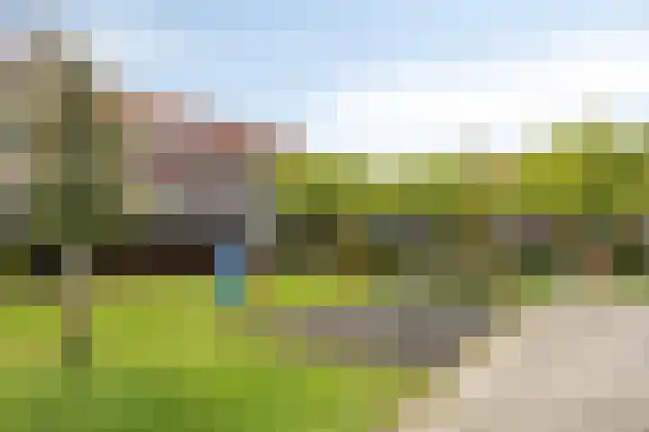 Baak van Herkingen 106 Amersfoort thumbnail 33