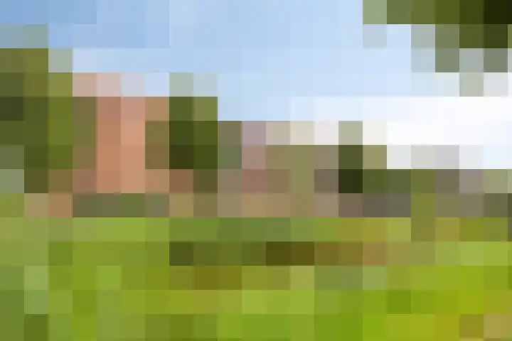 Baak van Herkingen 106 Amersfoort thumbnail 35