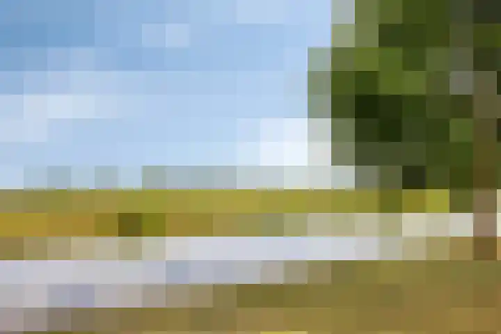 Baak van Herkingen 106 Amersfoort thumbnail 36