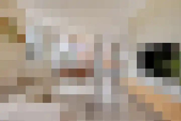 Baak van Herkingen 106 Amersfoort thumbnail 8