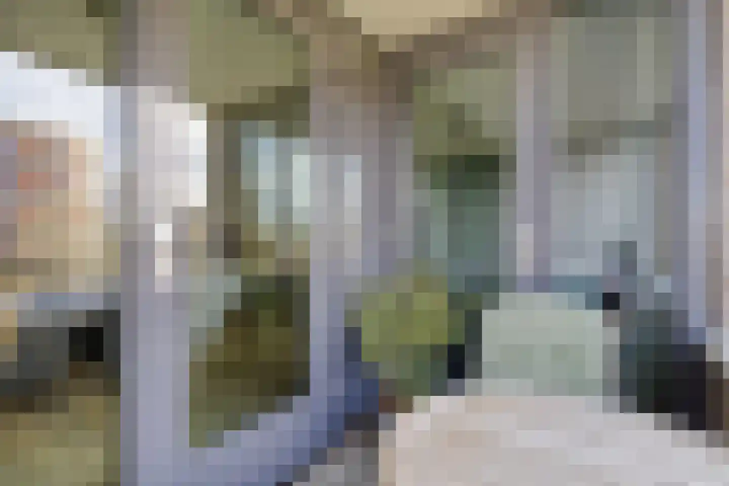 Baak van Herkingen 38 Amersfoort thumbnail 19