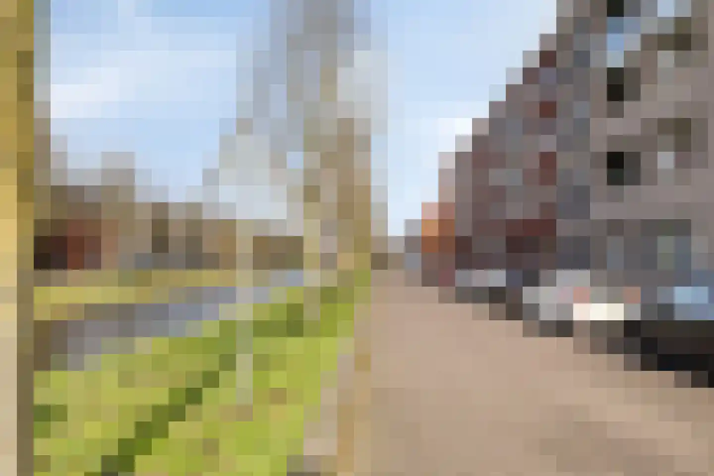 Baak van Herkingen 38 Amersfoort thumbnail 23