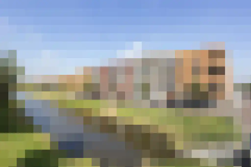 Baak van Herkingen 46 Amersfoort thumbnail 25