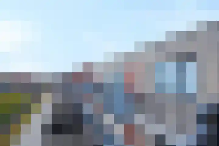 Baak van Herkingen 54 Amersfoort thumbnail 10