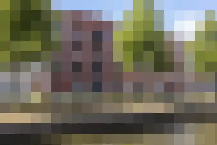 Baak van Herkingen 54 Amersfoort thumbnail 26
