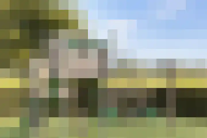 Baak van Herkingen 54 Amersfoort thumbnail 29