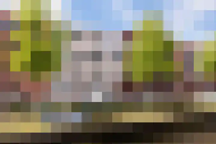 Baak van Herkingen 54 Amersfoort thumbnail 6