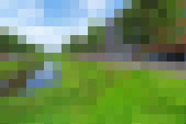 Baak van Herkingen 54 Amersfoort thumbnail 8