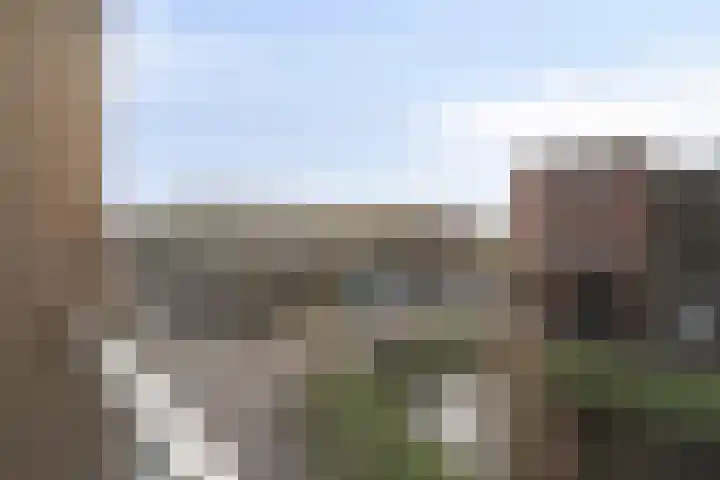 Baak van Herkingen 60 Amersfoort thumbnail 21