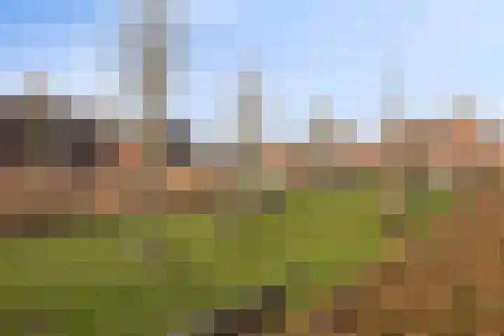 Baak van Herkingen 60 Amersfoort thumbnail 24