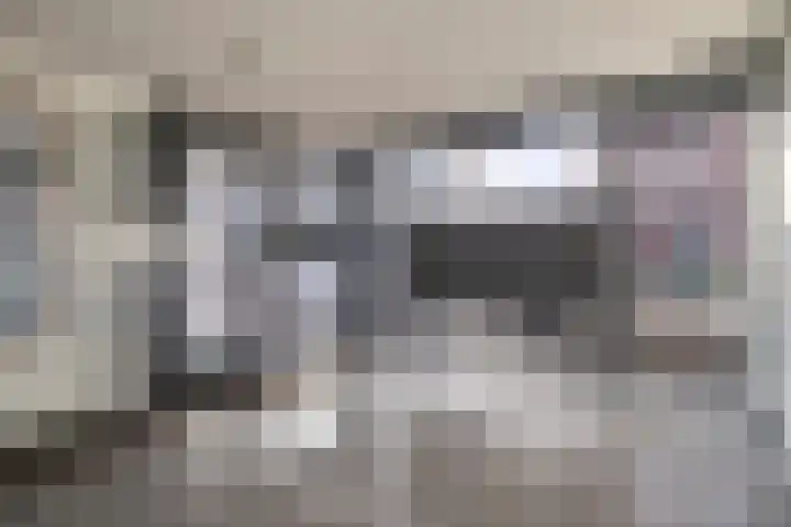 Baak van Herkingen 60 Amersfoort thumbnail 4
