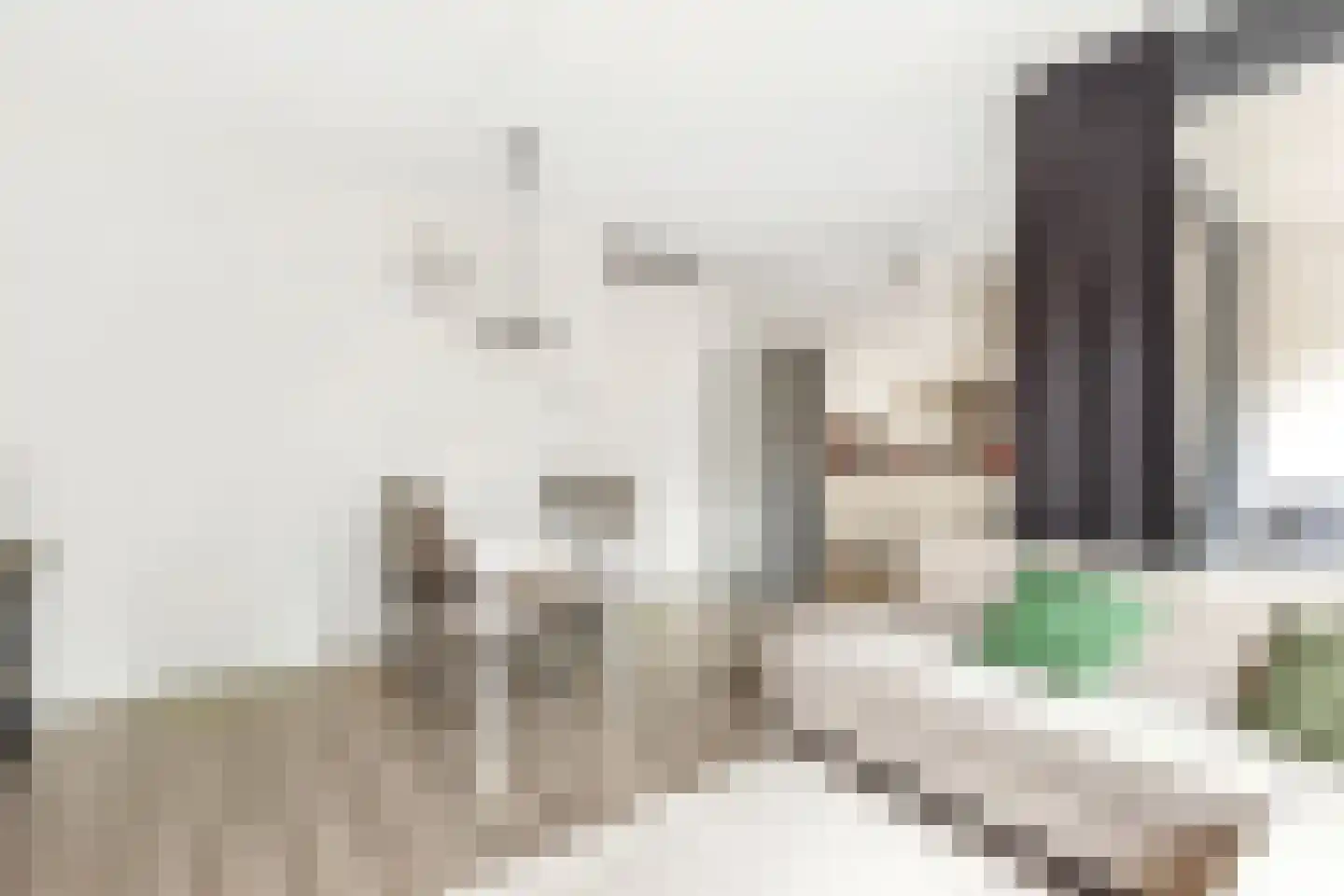 Baak van Herkingen 90 Amersfoort thumbnail 10