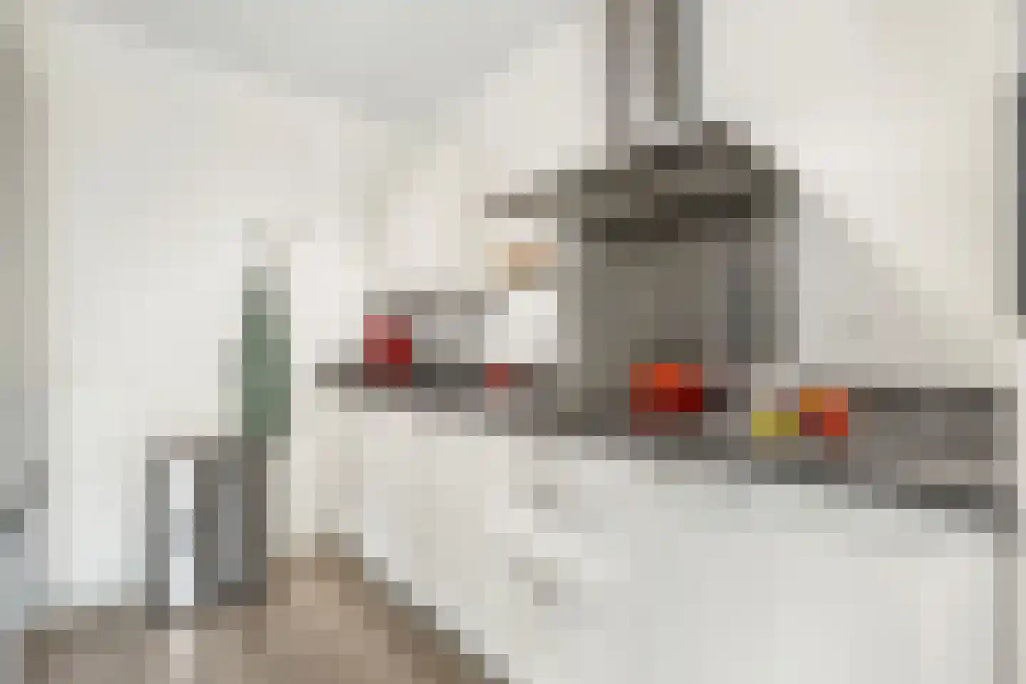 Baak van Herkingen 90 Amersfoort thumbnail 4