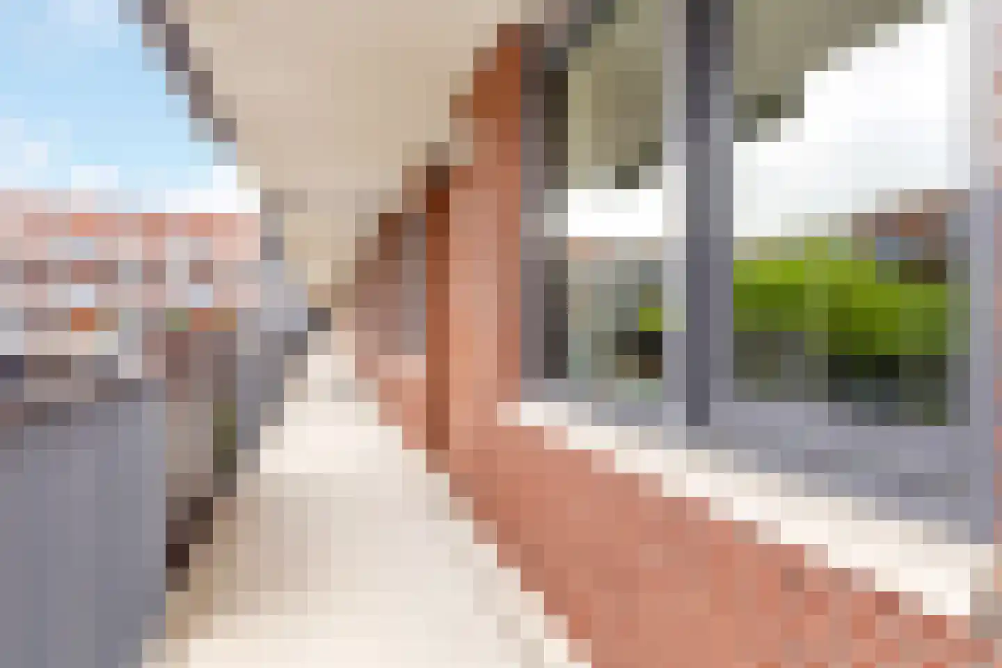 Baak van Herkingen 90 Amersfoort thumbnail 7