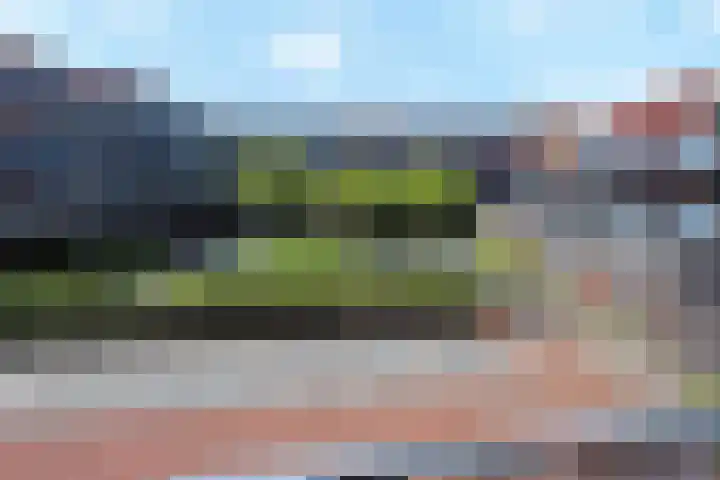 Baak van Herkingen 96 Amersfoort thumbnail 16