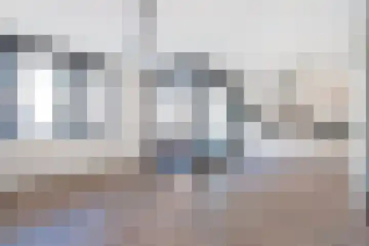 Baak van Herkingen 96 Amersfoort thumbnail 17